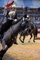 Cavalry - 00176
